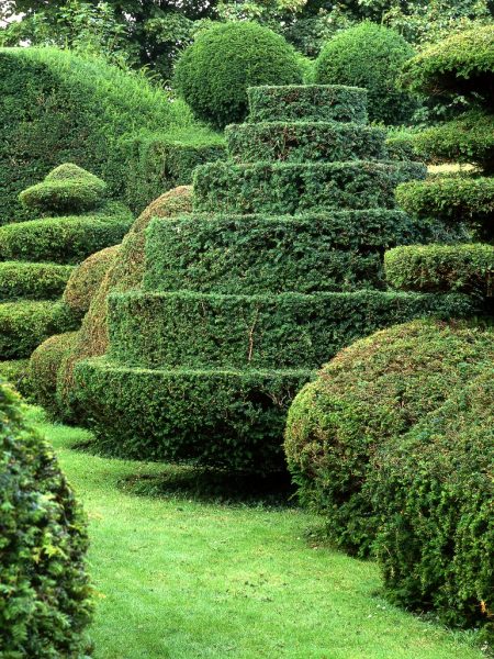 Beispiel für Topiary Art