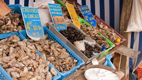 Cancale oysters at the market