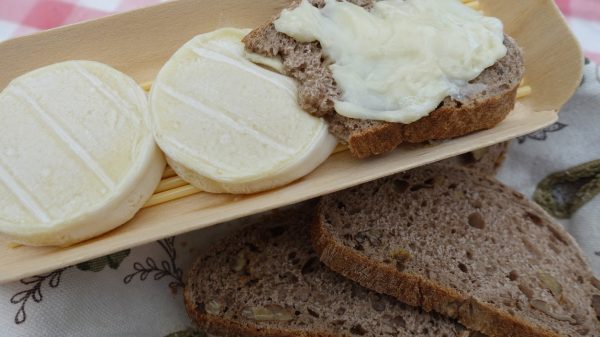 le fromage de chèvre AOC Rocamadour