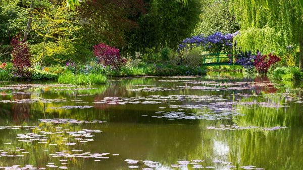 The gardens of Claude Monet's house 