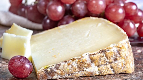 Ossau-Iraty, a sheep's milk cheese from the Basque Country 