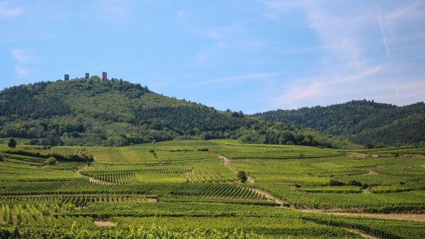 Vista de los viñedos y Les Trois Châteaux