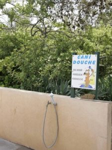 Shower space for your dog