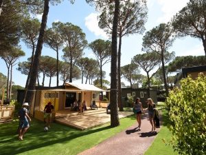 visuel non contractuel