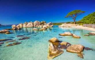 TOP 10 Campings : Corse du Sud