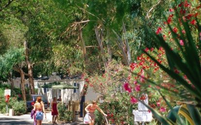 Campingplatz Les Salles-sur-Verdon : 3 verfgbare Campingpltze in Les  Salles-sur-Verdon - CampingFrance.com