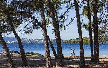 7 Campingpltze mit direktem Strandzugang - Korsika - CampingFrance.com