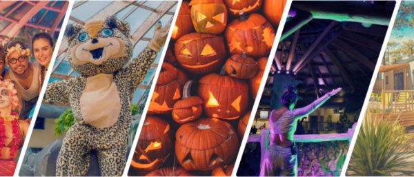 L'Océan Camping & Spa