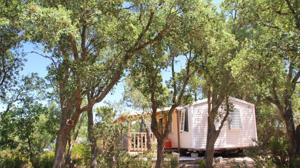 The campsite's mobile homes are set in shady surroundings
