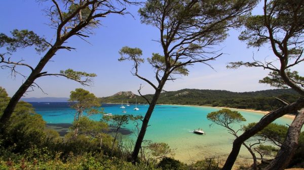 La plage près du camping La Tour Fondue, à Hyères