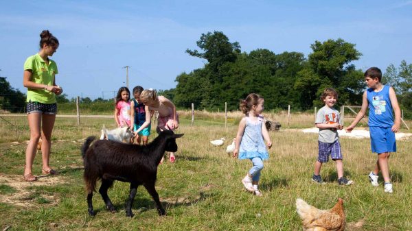Profitez de la mini-ferme à tout âge