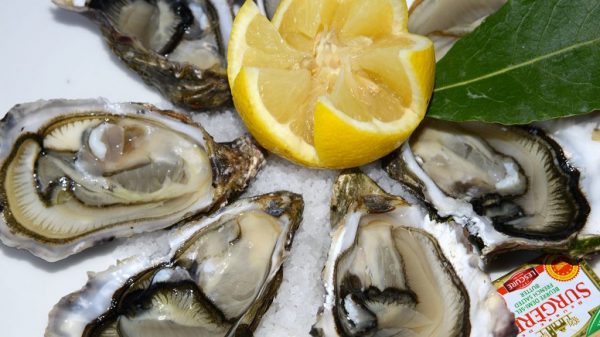 De enige Franse oester die de Label rouge heeft...