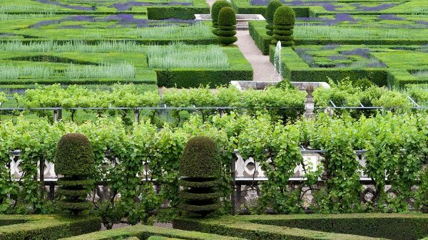 The gardens of Villandry Castle© Thinkstock