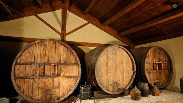 Caveau - Winery