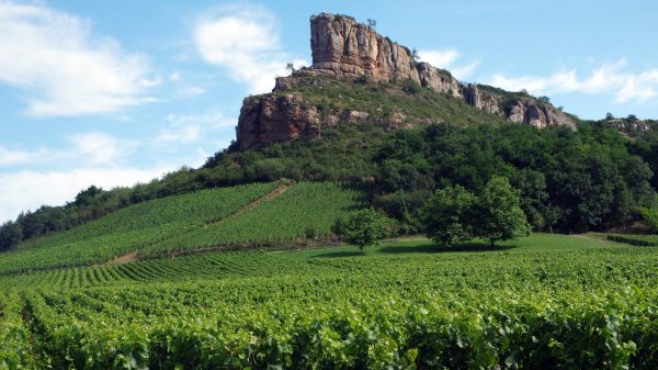 La Roche de Solutré al pie del viñedo en Borgoña
