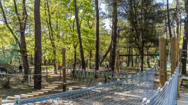 A vast treetop adventure park in the heart of the pine forest