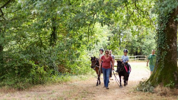 Balade à poney pour les campeurs les plus jeunes