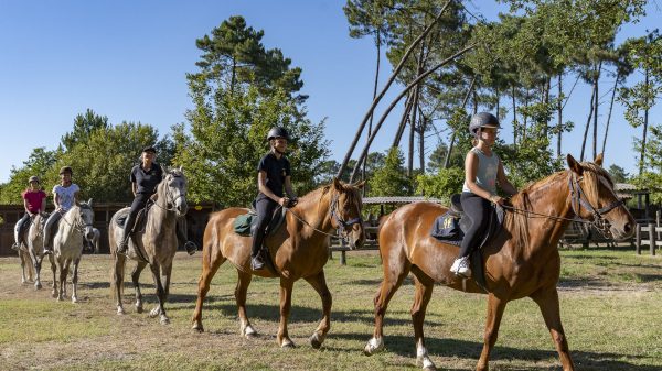 Vos vacances dans un camping doté d'un centre équestre