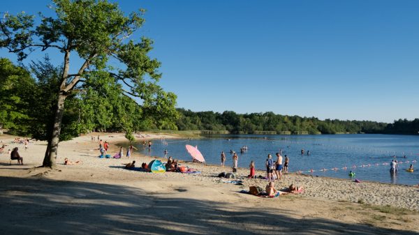 La plage de l'étang se trouve à 2 pas du camping