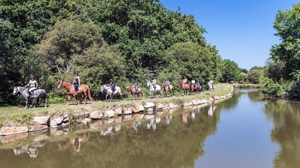 Randonnée à cheval à partir du camping