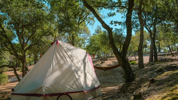 Un camping en pleine nature à Ramatuelle