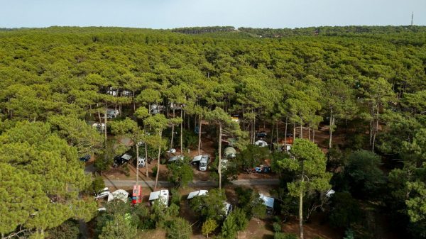 Cerné par la forêt et évacué lors des incendies de juillet 2026, ce camping n'a pas été touché par les flammes