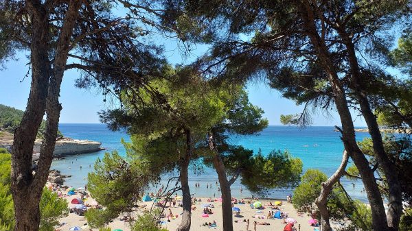 Accès direct à la plage