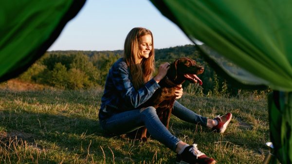 En camping avec son chien