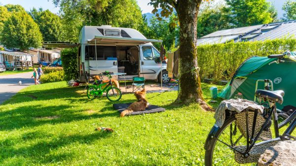 Ir de acampada con tu perro