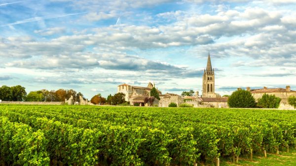 Saint-Emilion wijngaarden bij Bordeaux