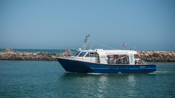 Boat arriving in the port of Valras