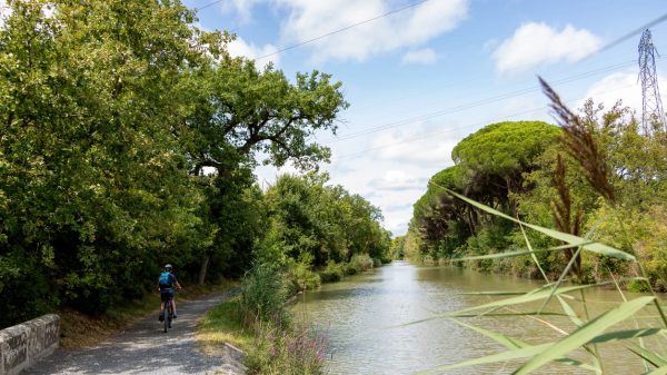 Cycling along the Canal du Midi