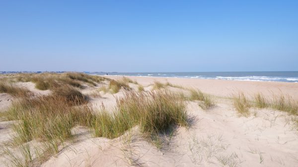 Merville-Franceville beach, lined with dunes