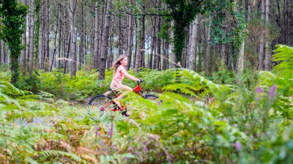 Les pistes cyclables dans la forêt des Landes à Hossegor