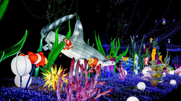 Thoiry Lumières Sauvages