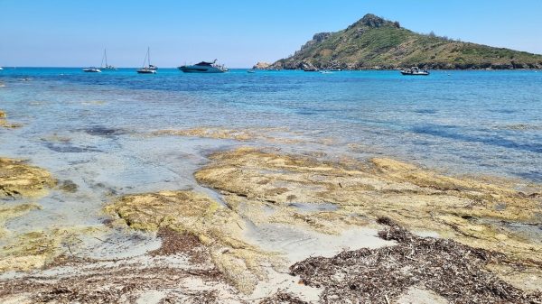 Plage devant le Cap Taillat