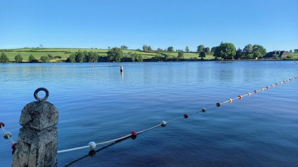 Baignade à l'étang Fouché