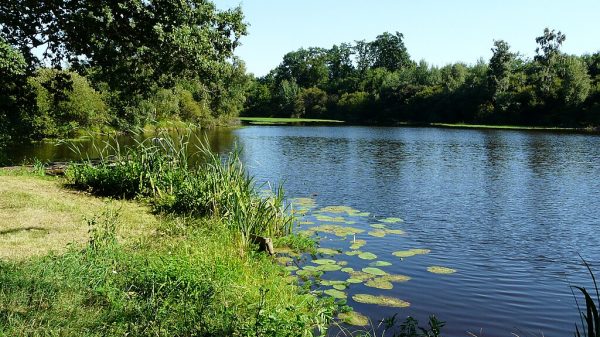 El estanque de Busserolles