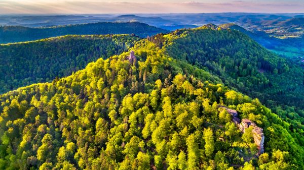 Château de Loewenstein dans les Vosges du Nord 
