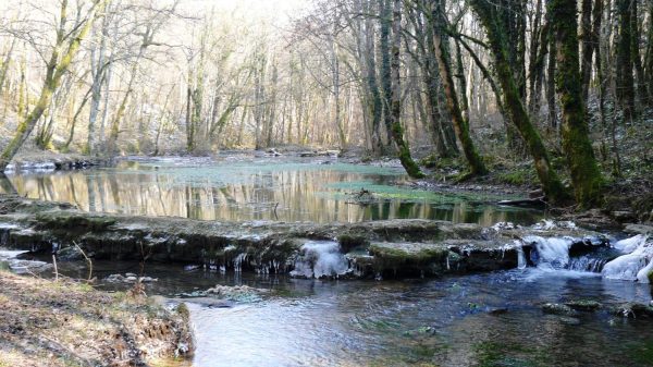 Source de l'Aube en hiver 