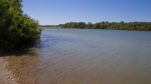 Der See von Revestidou in Caderousse