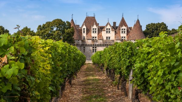 Die Weinberge und das Schloss von Monbazillac