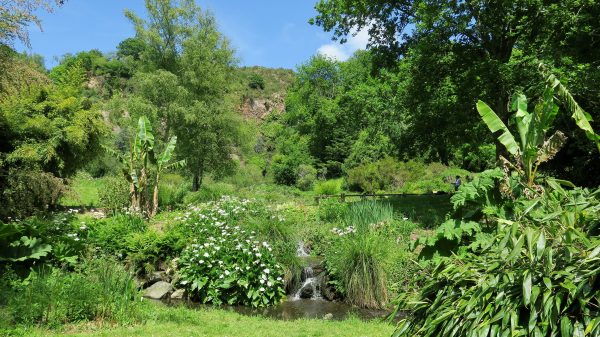 Botanischer Garten des CBN in Brest