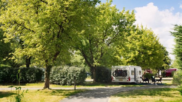 Stellplatz im Schatten und im Grünen 