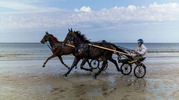 Calatte en la playa de Deauville