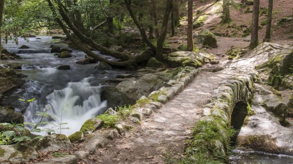Stone bridge near the Saut des Cuves waterfall