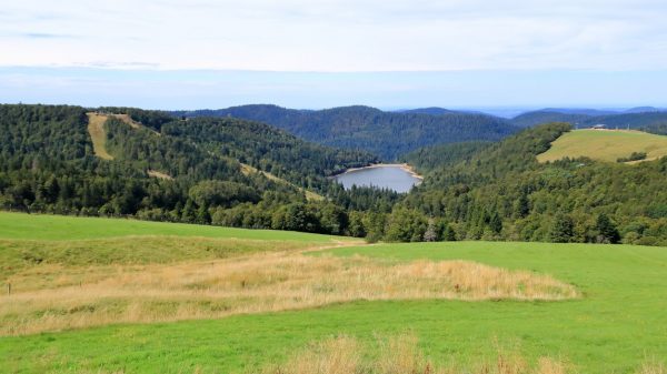 Panorama from the ridge road above Lake Longemer