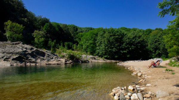 The campsite's beach, in a peaceful setting on the banks of the Ardèche