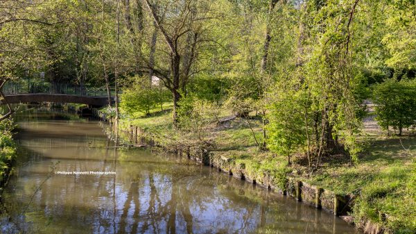 Le camping est au bord du Loiret