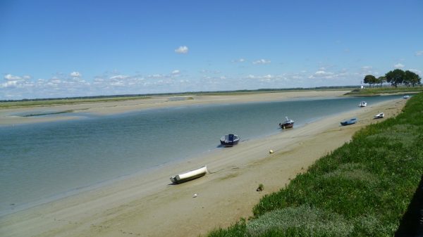 Vista de la bahía y su magnífica luz por la mañana 